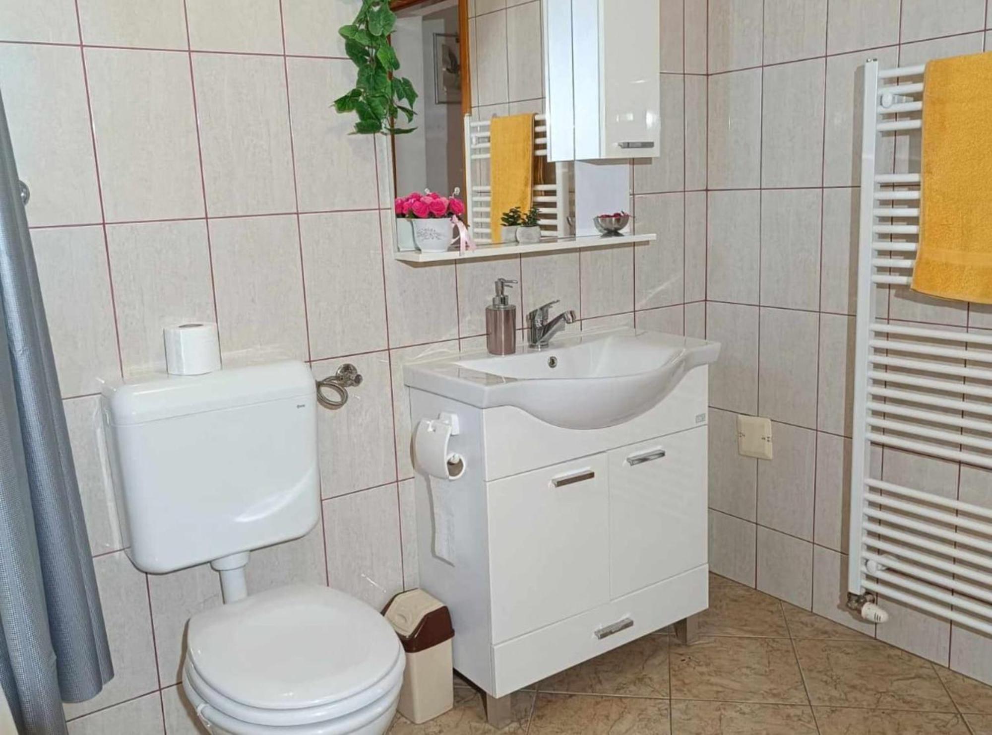Apartmani Tea I Toni Gradiste Экстерьер фото